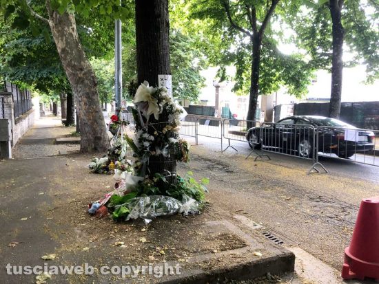 Viale Trieste - Il manto stradale nel punto dove ha perso la vita Leonardo Cristiani