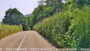 La provinciale valle di Vico