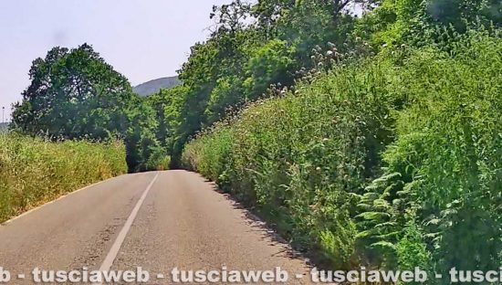 La provinciale valle di Vico