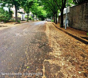 Viterbo - Via Monte San Valentino tra pollini e strada dissestata