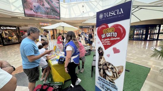 Enpa - Adotta un gatto al centro commerciale Tuscia