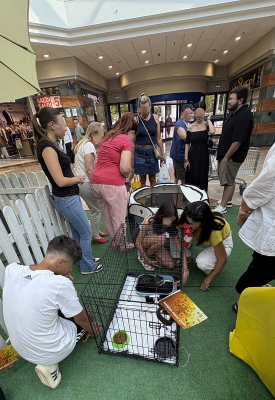 Enpa - Adotta un gatto al centro commerciale Tuscia