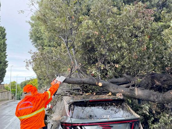 Montalto di Castro - Auto colpita da un grosso ramo spezzato