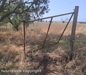 Tuscania - Rifiuti speciali e eternit riversati in una proprietà - Il cancello rotto