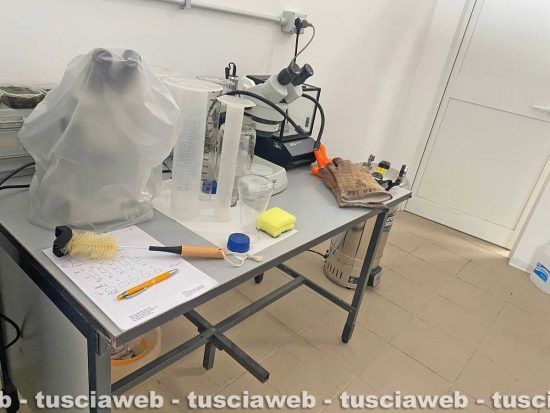 Unitus - Nuovo laboratorio di protezione delle piante del Dibaf 