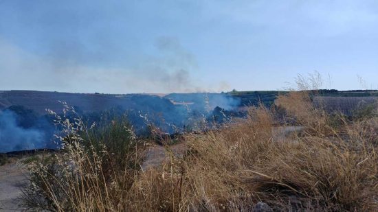 Incendi devastano i territori di Montalto e Canino