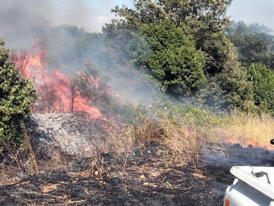 Montalto di Castro - Vasto incendio alla Sugherella, Aeopc Tarquinia in azione con i vigili del fuoco