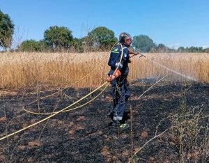 Nepi - Vasto incendio in un campo di grano