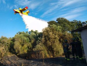 Tarquinia - Vasto incendio nella zona Casalone Farnesiana