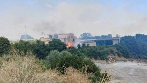Incendi devastano i territori di Montalto e Canino