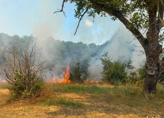 Vasanello - Vasto incendio a Le Grottelle, tre ettari in fiamme e case minacciate dal rogo