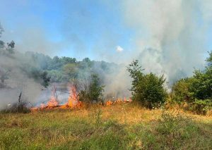 Vasanello - Vasto incendio a Le Grottelle, tre ettari in fiamme e case minacciate dal rogo