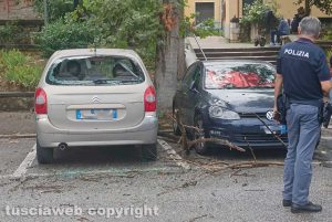 Orte – Ramo crolla nel parcheggio della stazione, danneggiate due auto