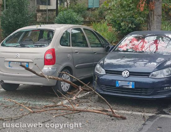 Orte – Ramo crolla nel parcheggio della stazione, danneggiate due auto
