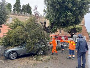 Montalto di Castro - Auto colpita da un grosso ramo spezzato