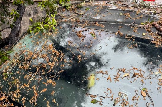 Montalto di Castro - Auto colpita da un grosso ramo spezzato