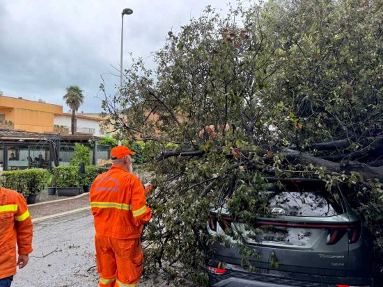 Montalto di Castro - Auto colpita da un grosso ramo spezzato