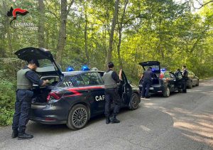 Viterbo - Carabinieri - Operazioni nei boschi