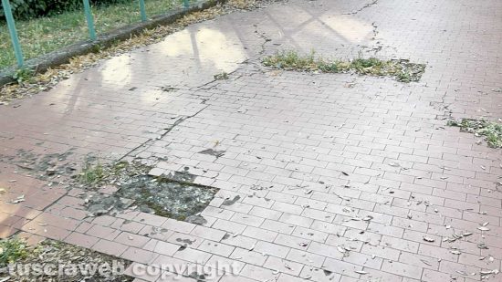 Pratogiardino Lucio Battisti ridotto a un letamaio puzzolente