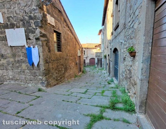 Viterbo - Erba incolta in via Scacciaricci