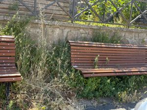 Incuria a San Martino al Cimino e Tobia