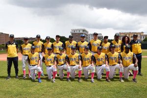 Sport - Viterbo Baseball club