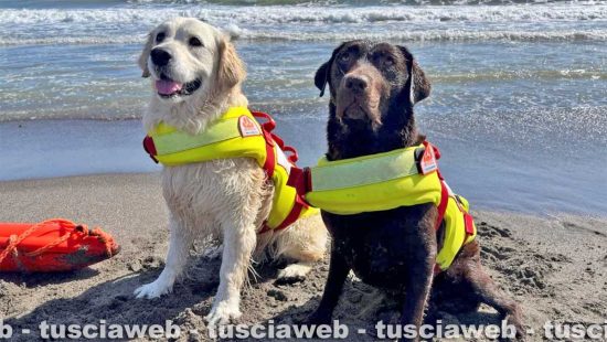 Nita e Maia, i cani che hanno salvato la famiglia di Terni