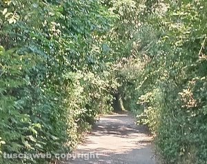 Viterbo - Strada Riello