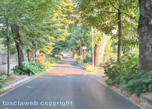 Viterbo - Via della Grotticella