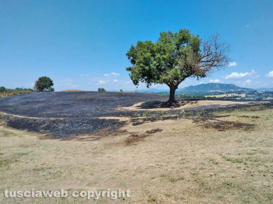 Calcata - Campo in fiamme