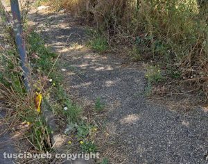 Viterbo - Marciapiedi in via Marescotti