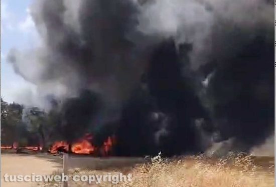 Fiamme nelle campagne di Montalto, il fuoco sfiora i capannoni