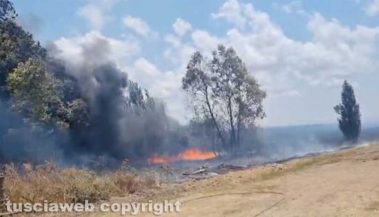 Fiamme nelle campagne di Montalto, il fuoco sfiora i capannoni