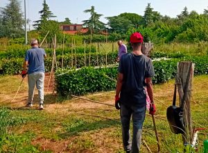 Il progetto "Orti solidali"