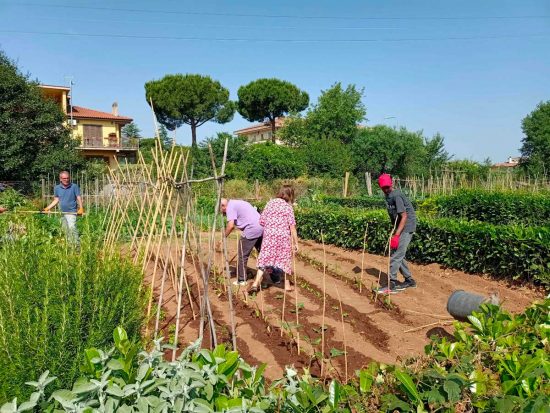 Il progetto "Orti solidali"
