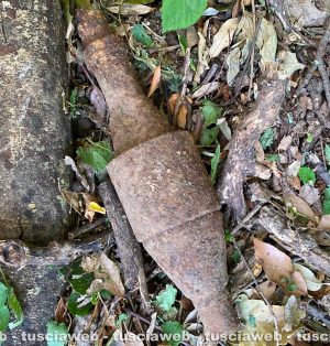 Canepina - Rinvenuto un ordigno in località Selva Luce