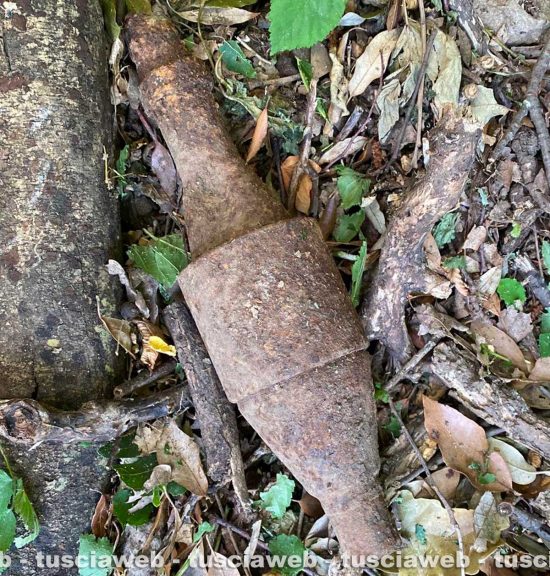 Canepina - Rinvenuto un ordigno in località Selva Luce