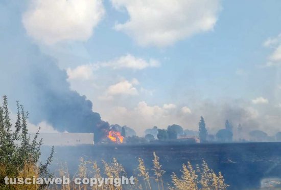 Fiamme nelle campagne di Montalto, il fuoco sfiora i capannoni