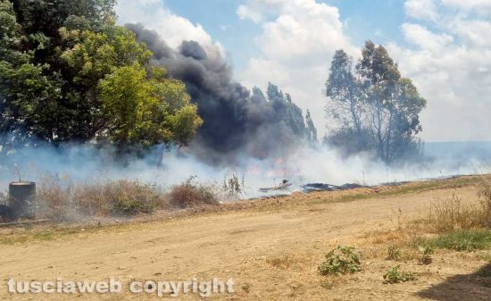 Fiamme nelle campagne di Montalto, il fuoco sfiora i capannoni