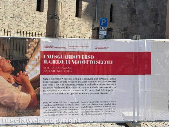 Macchina di Santa Rosa - I pannelli che illustrano la tradizione