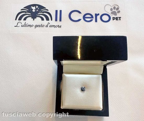 Il diamante realizzato con le ceneri del cagnolino Golia