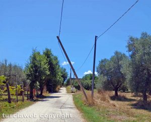 Corchiano - Palo pericolante in zona Pantalone