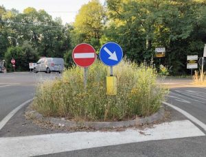 Soriano nel Cimino - Le erbacce allo svincolo Molinella