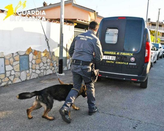 Viterbo - Guardia di finanza