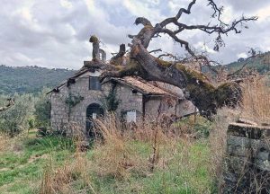 Montefiascone - La chiesa di Santa Maria della Valle