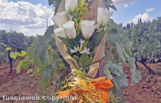 Montalcino - Il mazzo di fiori lasciato sul luogo dello schianto dell'Mb-326 in ricordo dei due piloti