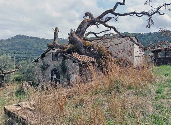 Montefiascone - La chiesa di Santa Maria della Valle