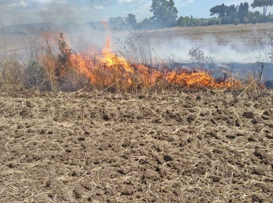 Tarquinia - Incendio sulla Litoranea