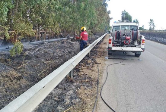 Tarquinia - Incendio sulla Litoranea