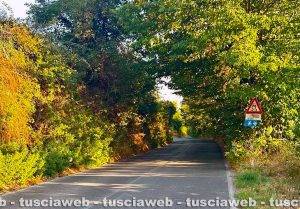 Caprarola - La stradale Sp 35 – Località San Liborio